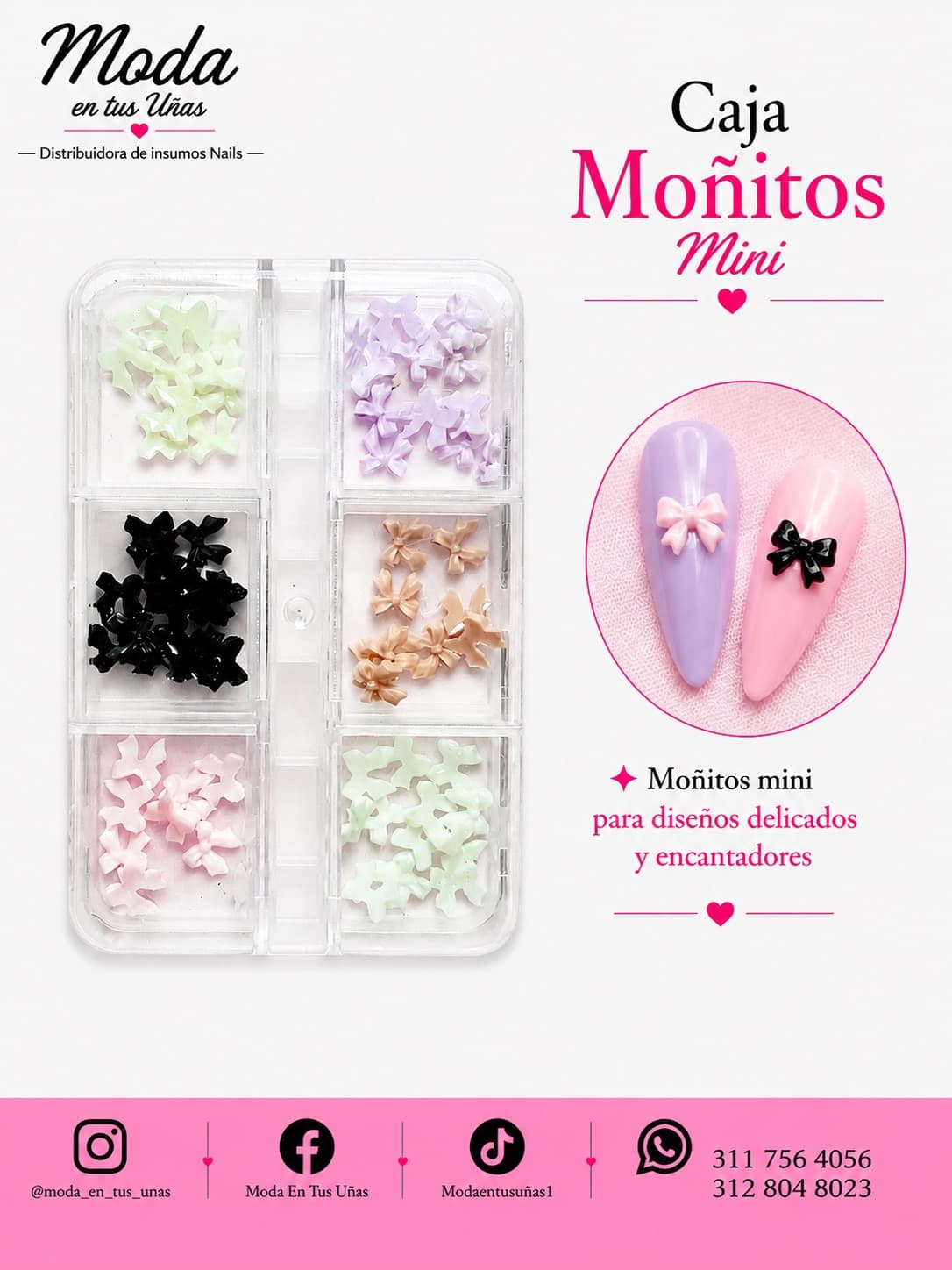 ✨CAJITA MIÑO MINI -colores