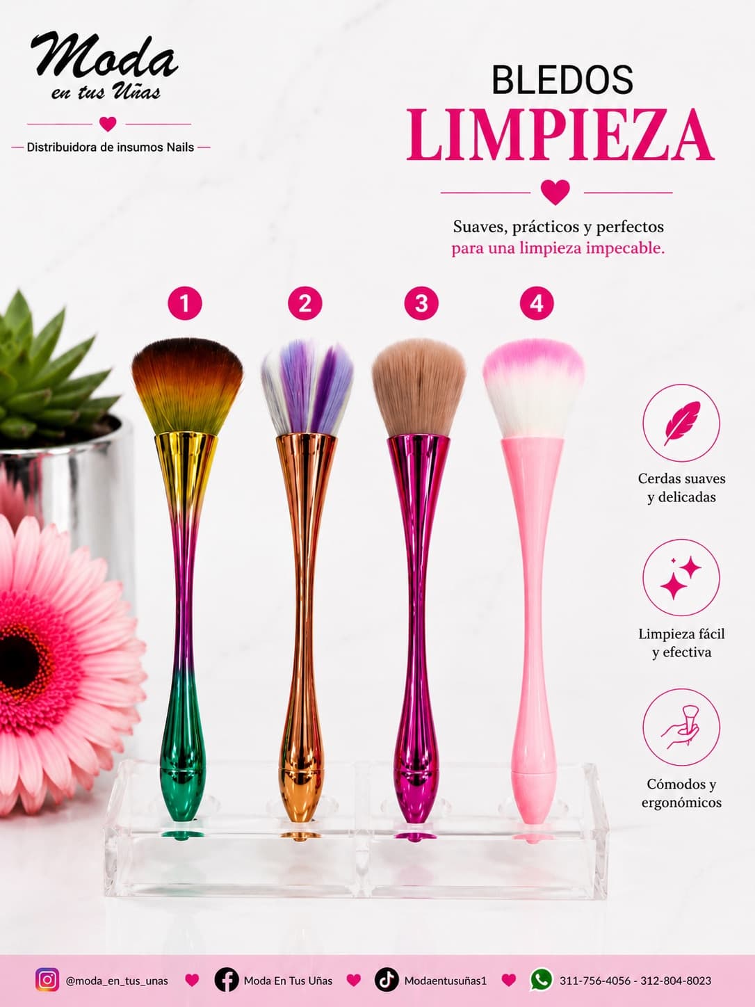 BLEDO LIMPIEZA