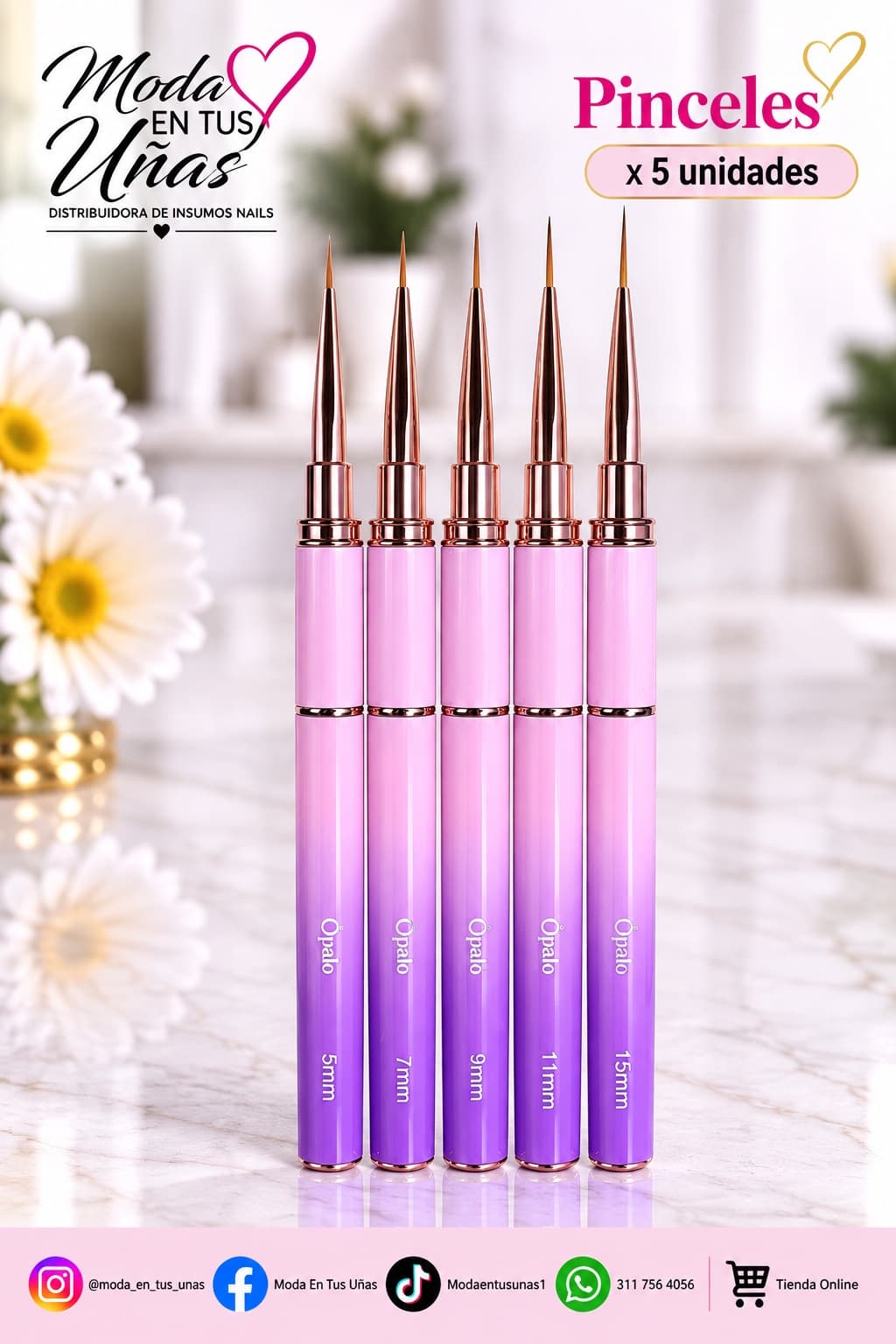 KIT PINCEL LINER PROFESIONAL X5