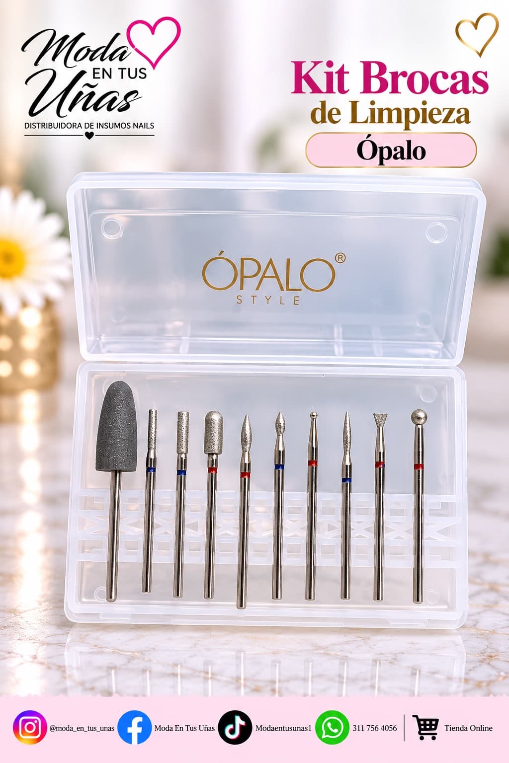 KIT BROCAS LIMPIEZA X10